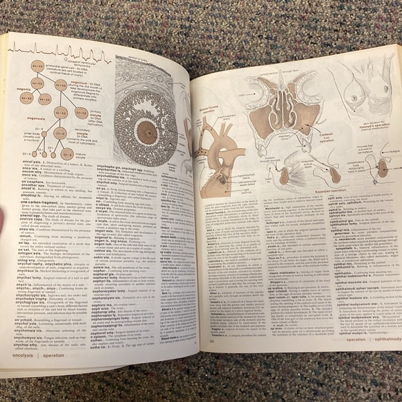 Vintage antique hardcover medical book - timeless resource and cool collectible - Picture 6 of 7